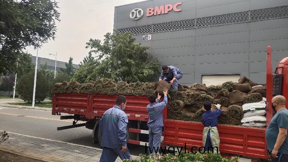 綠(lv)化(hua)工(gong)程