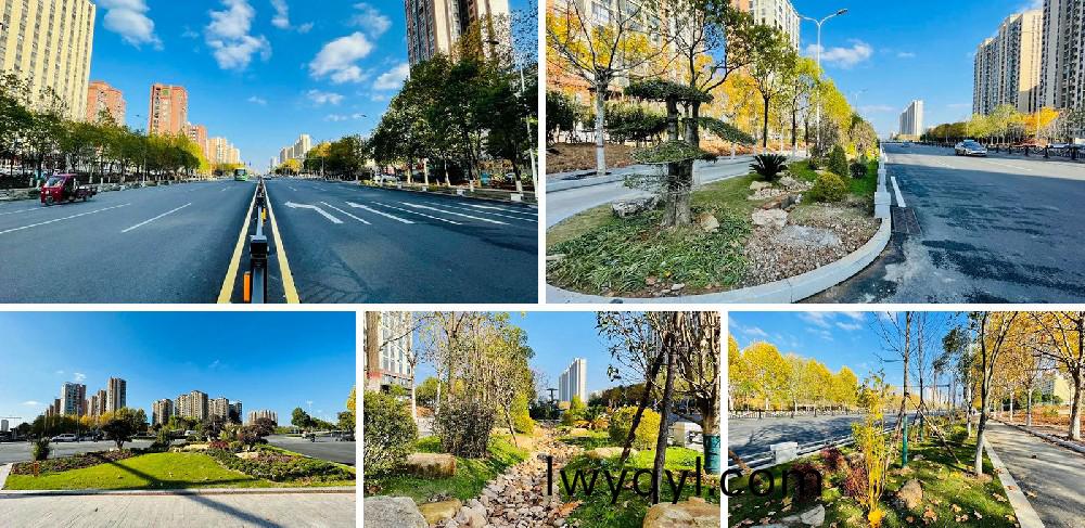 信陽(yáng)(yang)市(shi)新五(wu)大道(dao)綜(zong)郃改造(zao)項(xiàng)(xiang)目(mu)EPC工程總承(cheng)包(bao)K5+420-K8+381段景(jing)觀(guan)綠化(hua)工程(cheng)