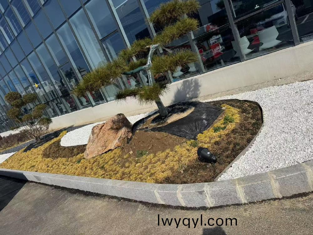 宿(su)遷(qian)某瑞(rui)森企業(yè)(ye)廠(chǎng)房(fang)內(nèi)(nei)部綠化(hua)